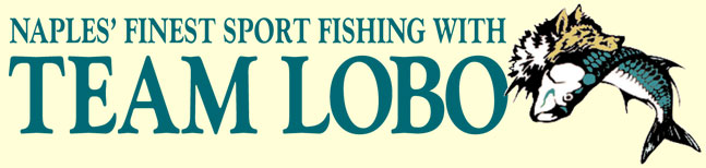 Naples Finest Sports Fishing With Team Lobo